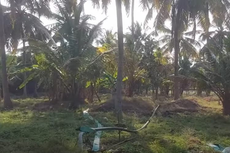 land for sales