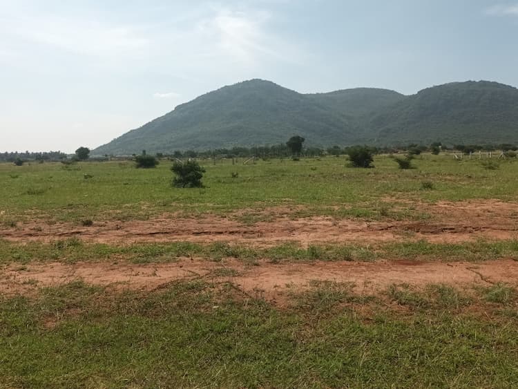 Single Property Image