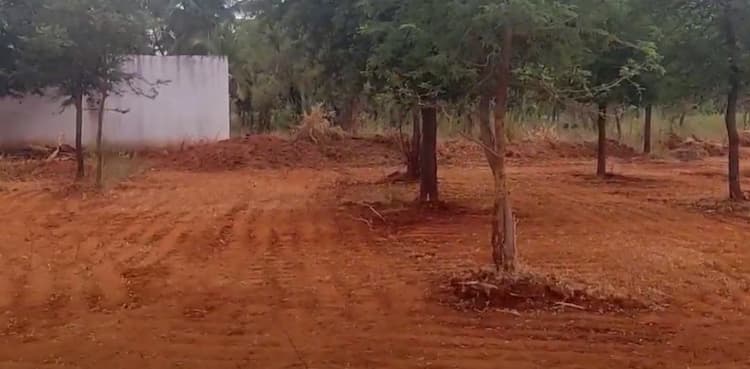 Land for sales