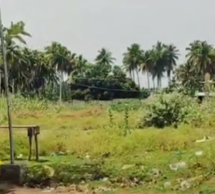 Land for sales