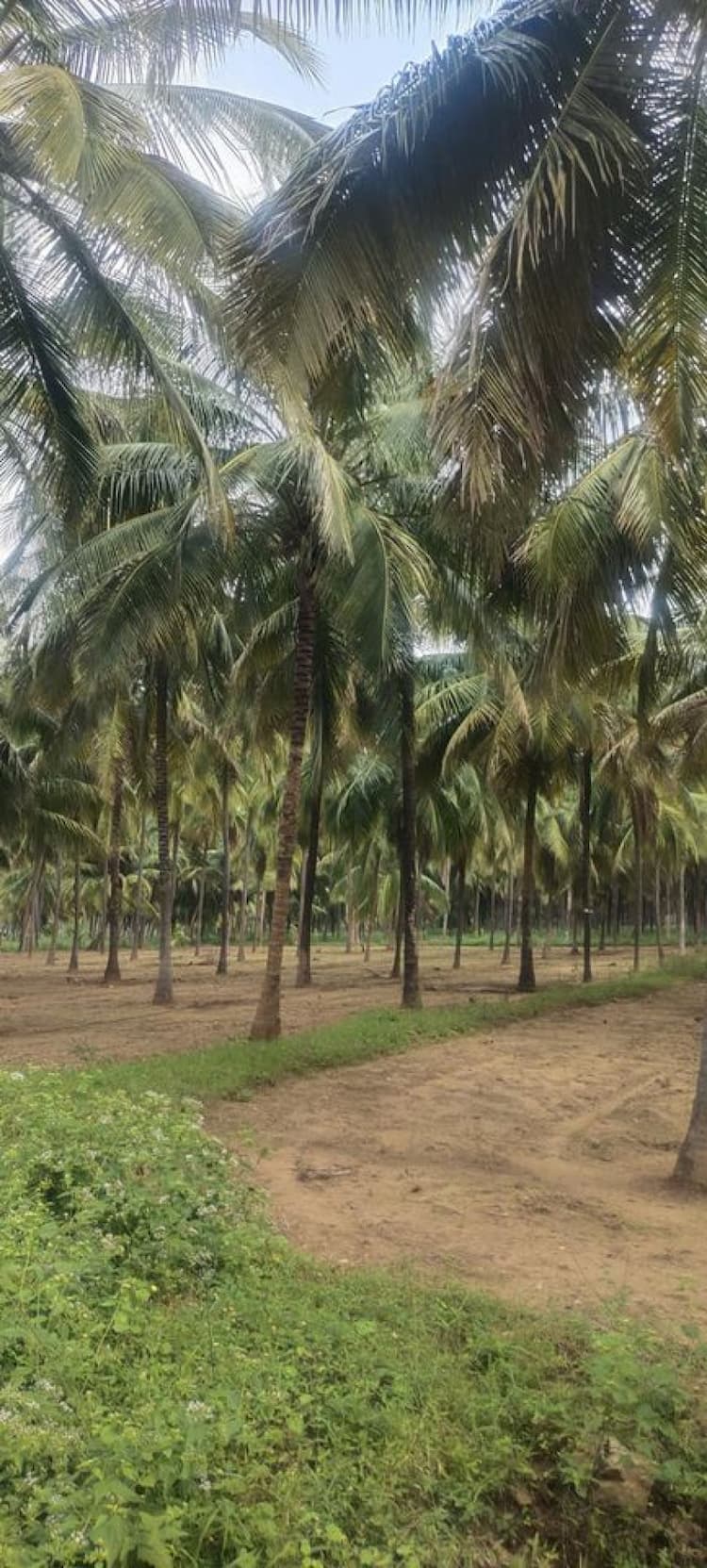 Farm LAnd For Sale