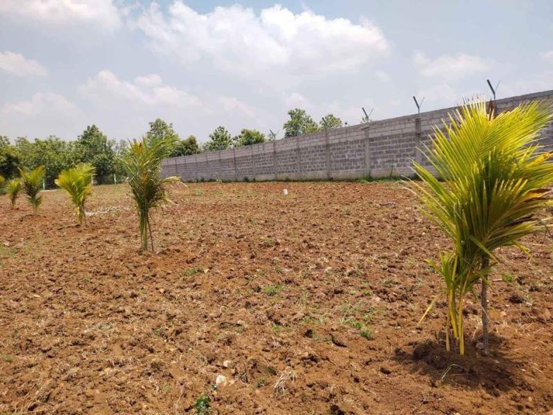 RED SOIL FORM LAND
