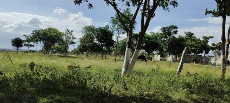 Land sale