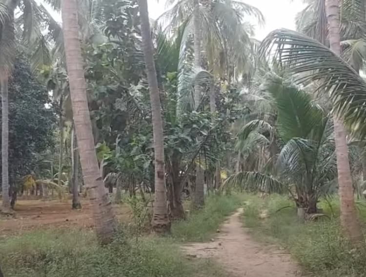 Single Property Image