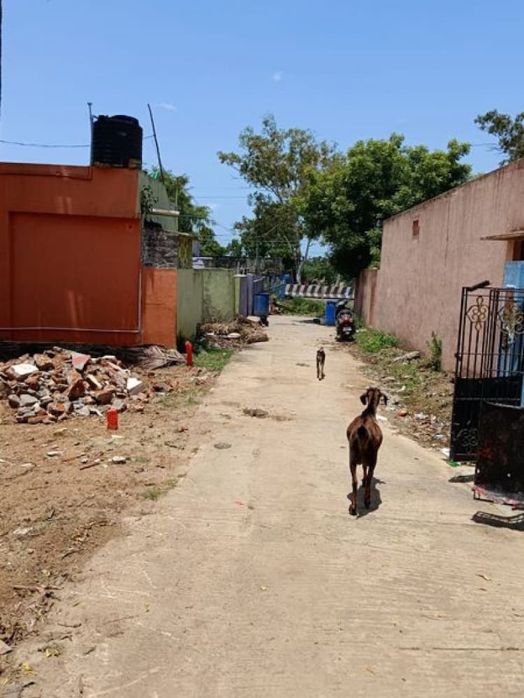 Single Property Image