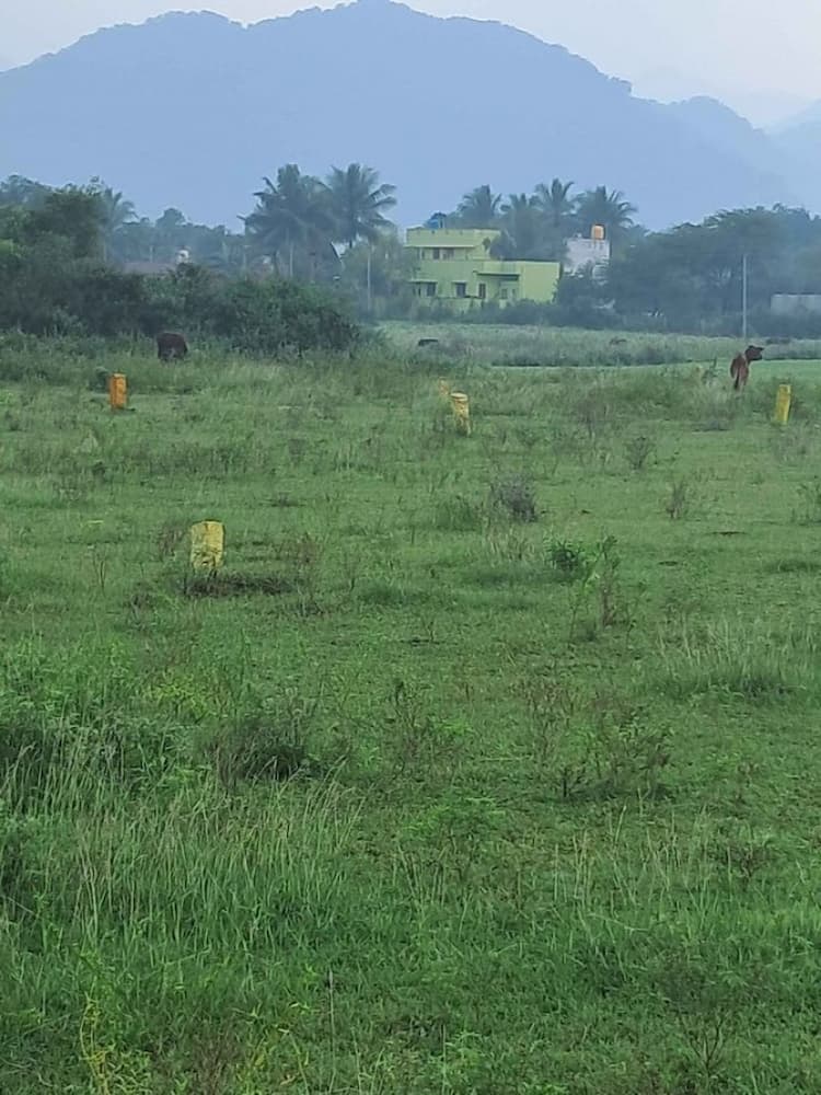 1000 sq ft Plot for Sale