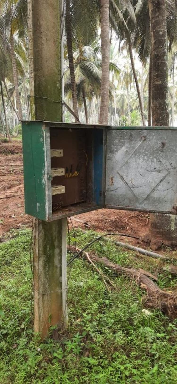 farm land for sale with coconut farm