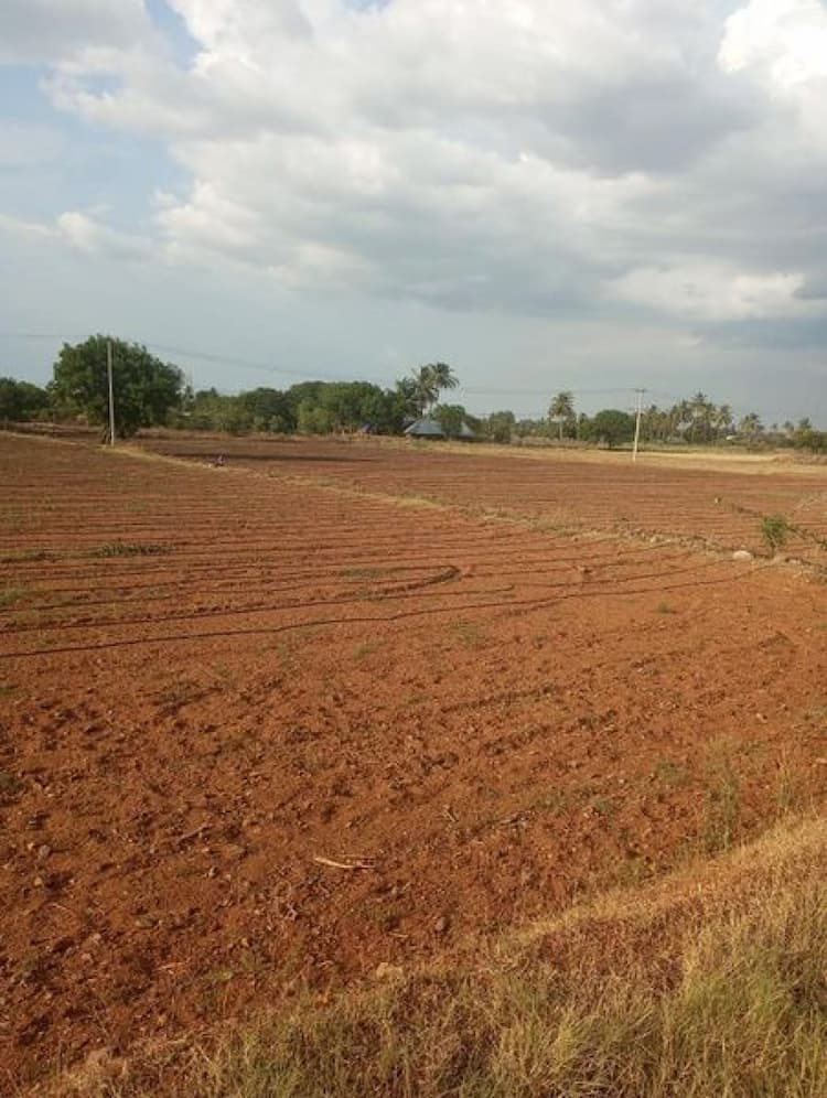 Farm land sale
