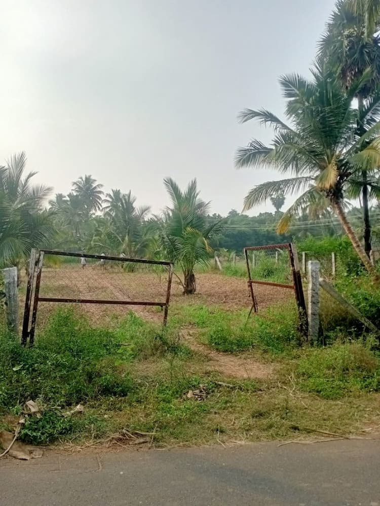 5 Acre for Sales