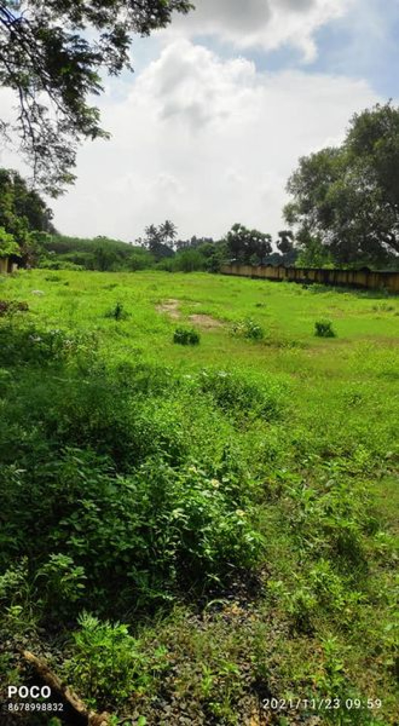 land sale