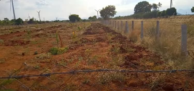 Land for Sale