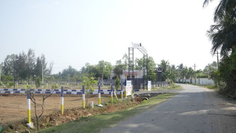 Plot sale