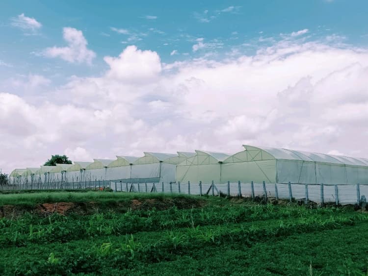 Agriculture land