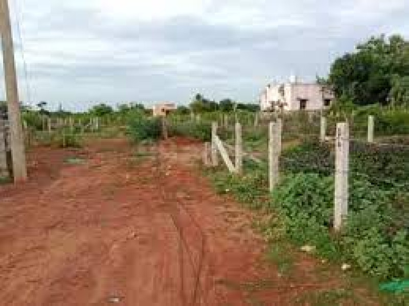 Plot sale  