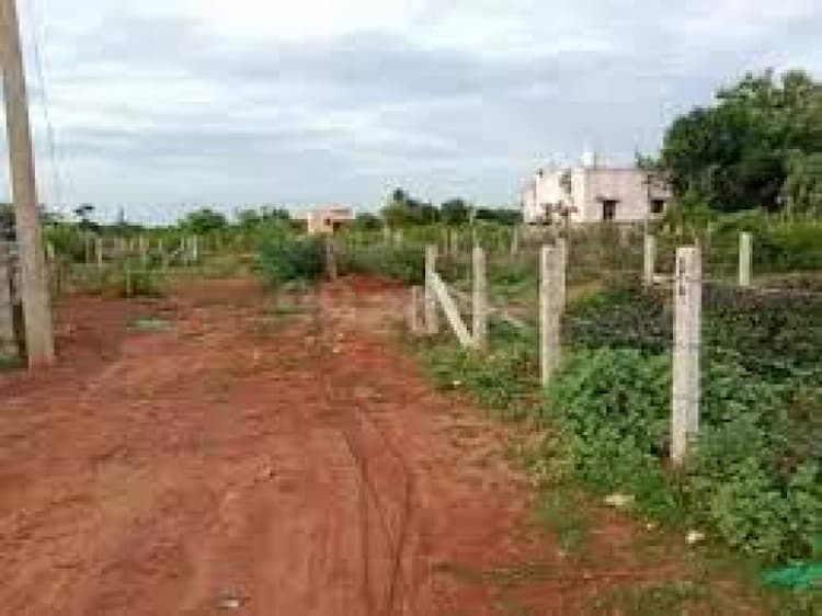 Plot sale  
