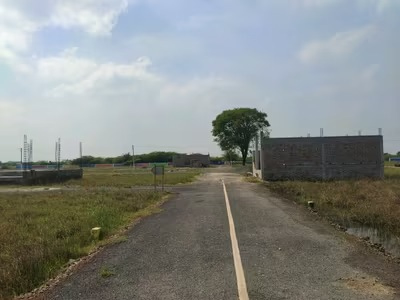 Residential Plot