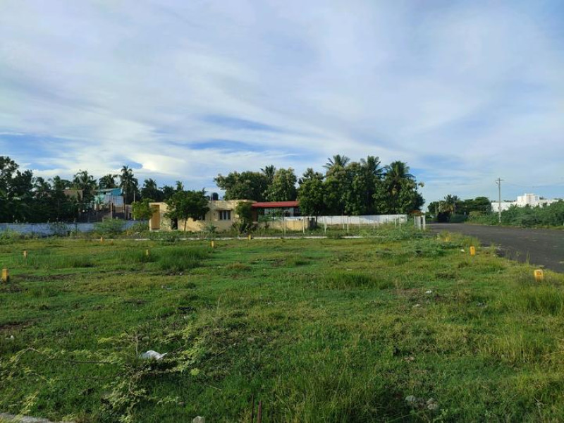 Residential Plot