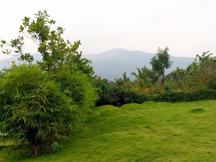 Single Property Image