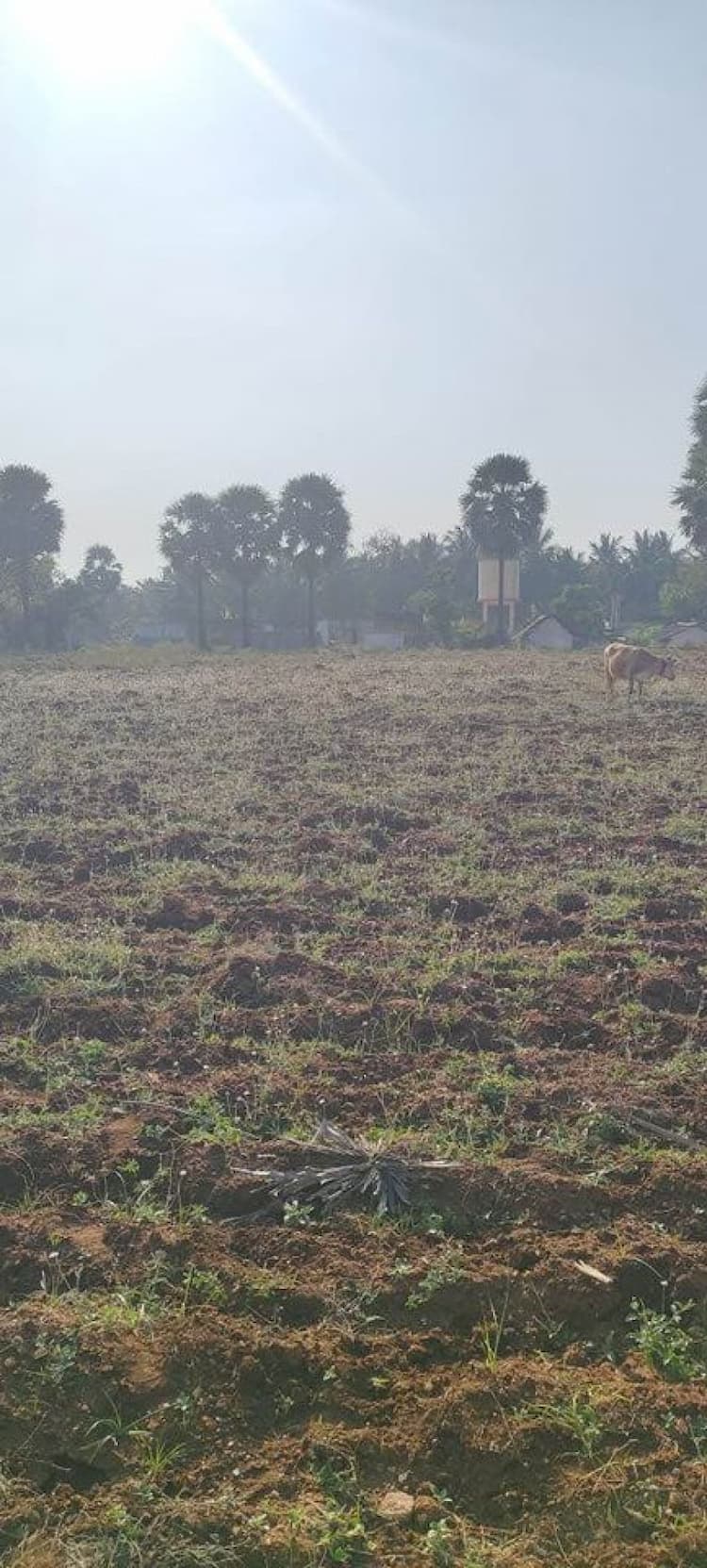 1 acre land for sale