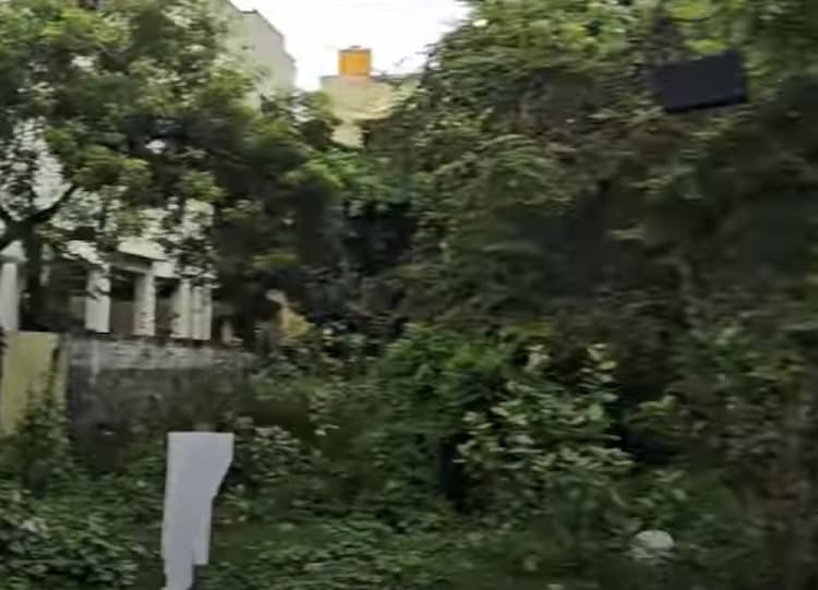 Land for sales