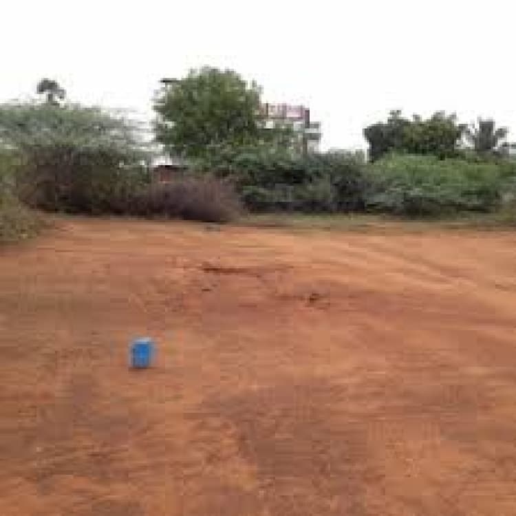 Plot sale