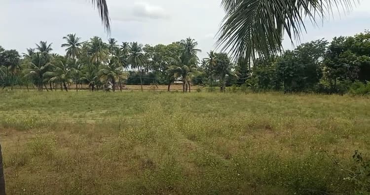 Land for sales