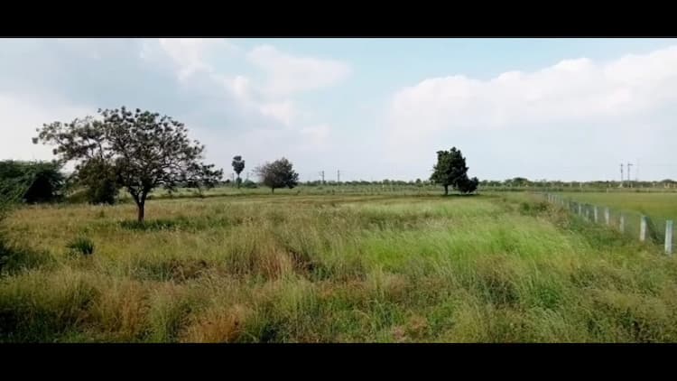 75 Cent Land for Sale