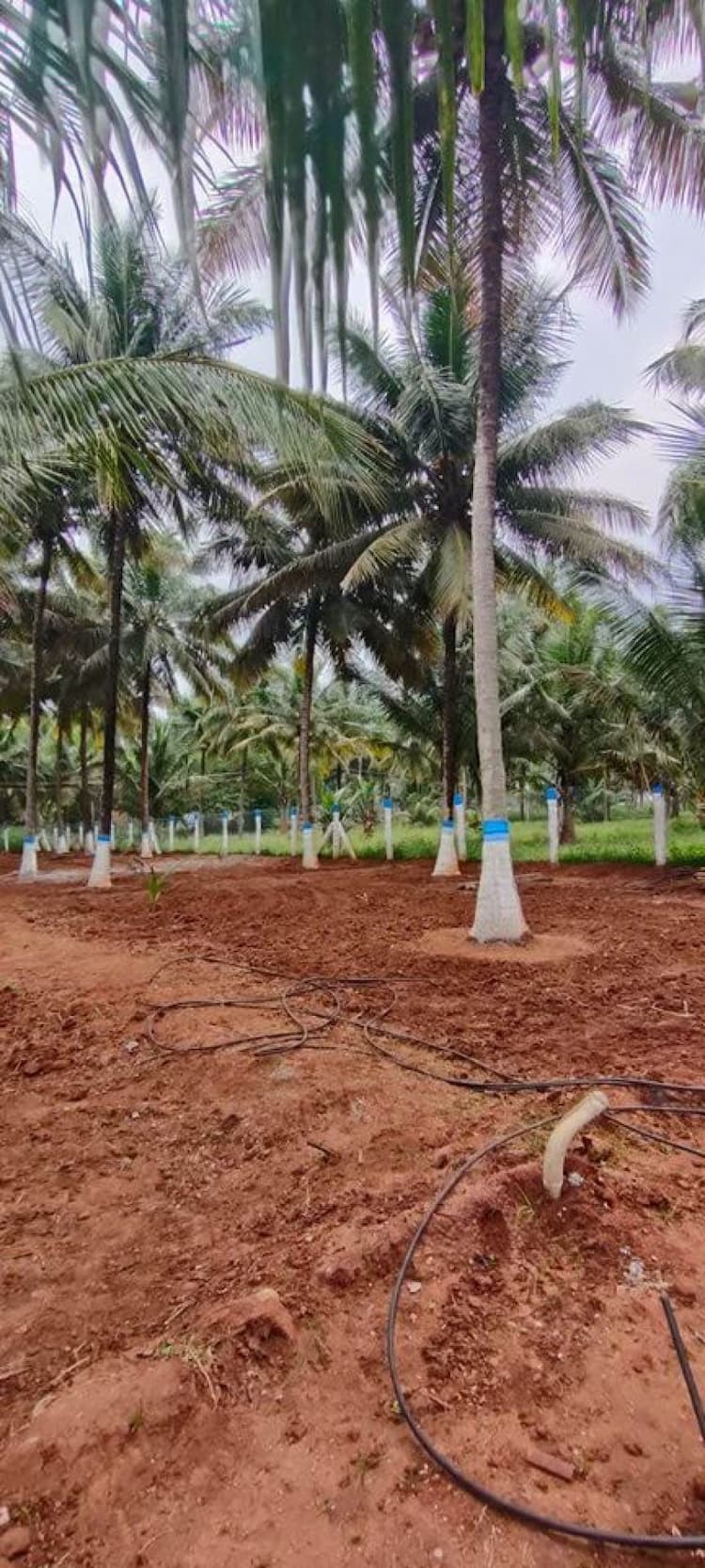 40 cent  land for sale 