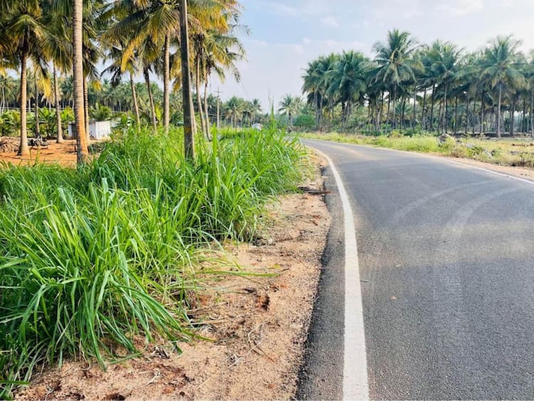 50 Cent Agri land for sale