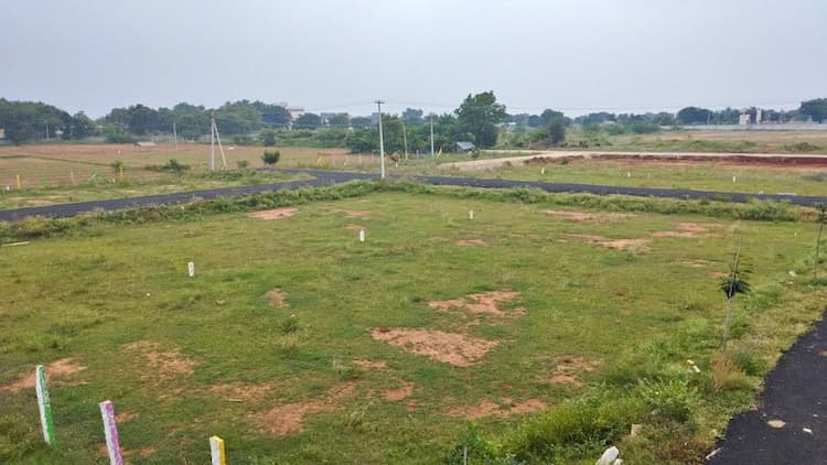 plot