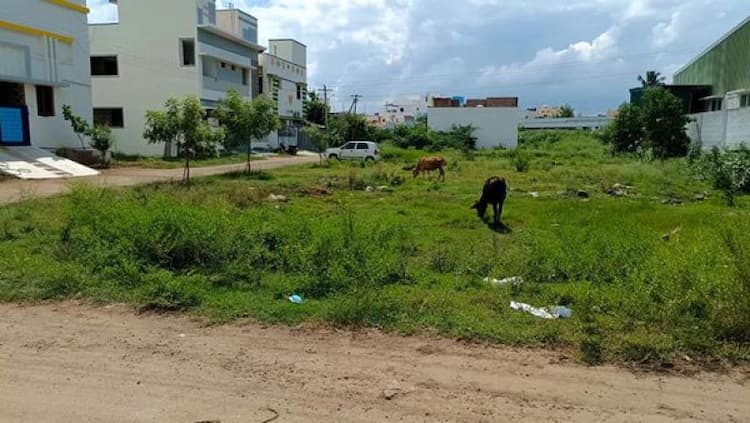 Site For Sale
