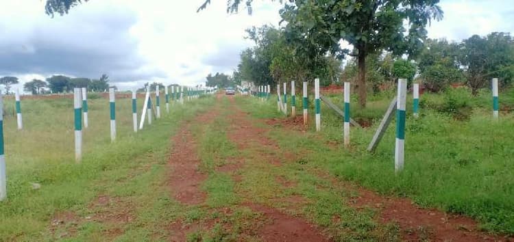 Agricultural Land