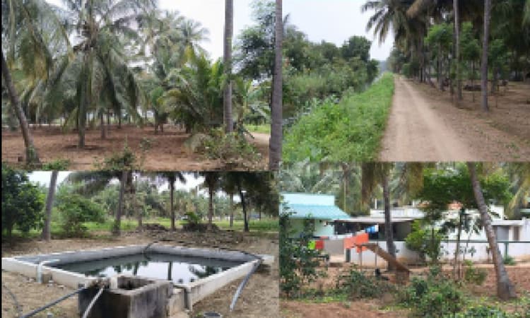 1.75 Acre Farm for Sale