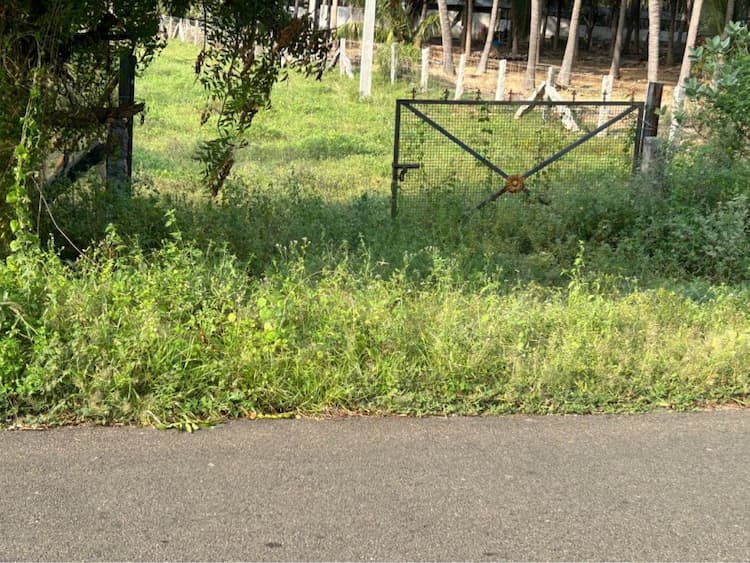 40 Cent Farm Land