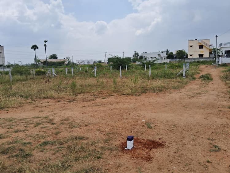 plot sale