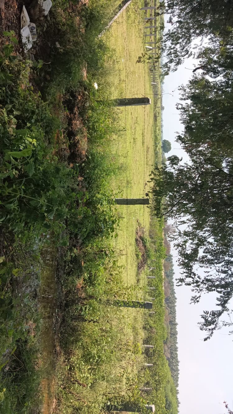 60 cent land for sales