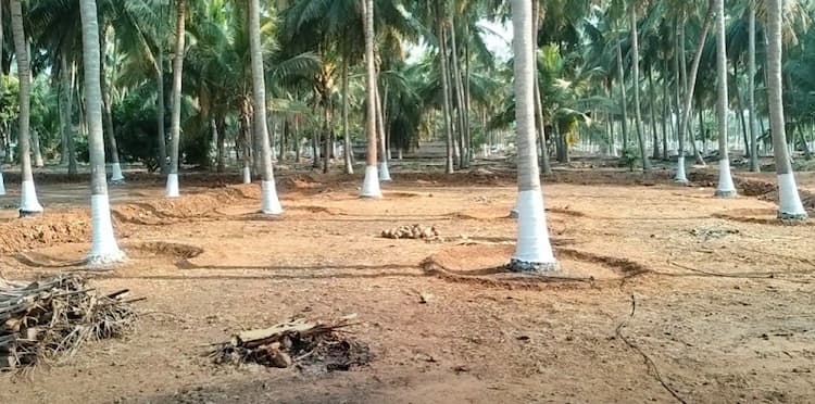 Land for Sale