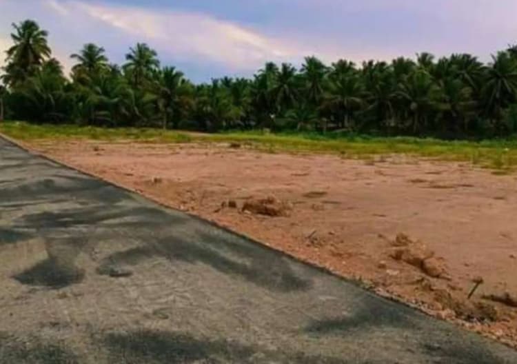 plot for sale
