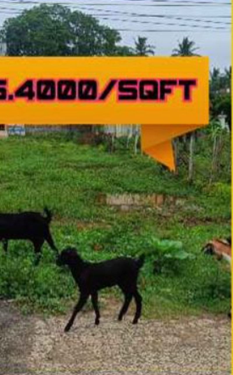 Land for Sale