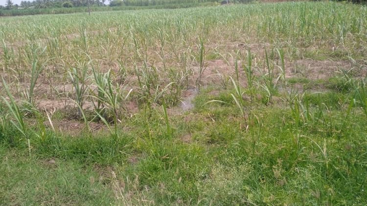 1.40 Acre for sales