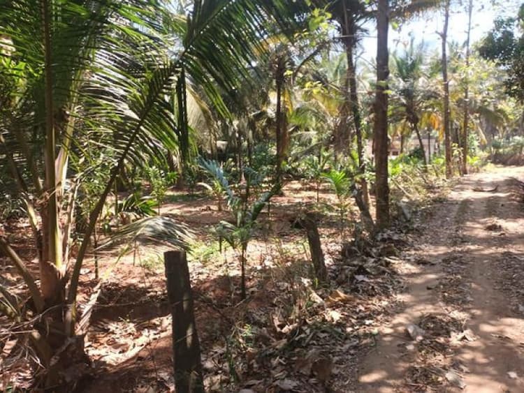 Single Property Image