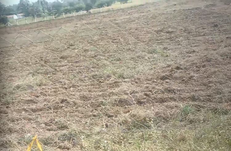 65 Cent Land for Sale