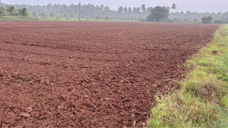 Agriculture Land for Sale