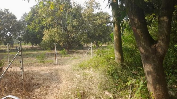 Single Property Image