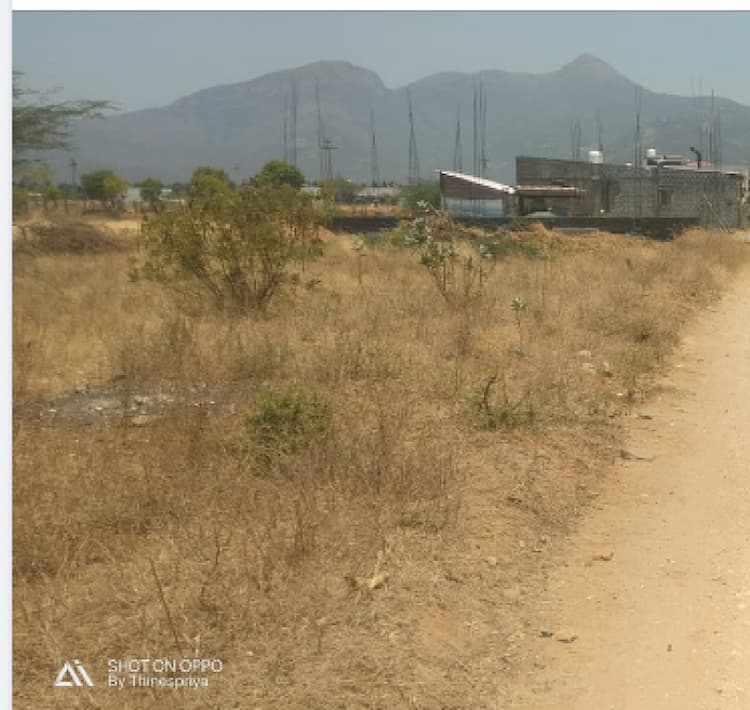 Land for sales