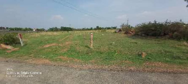 Plot sale