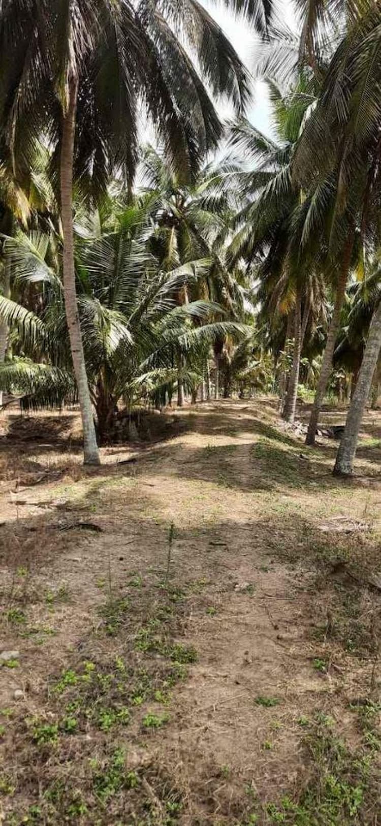 5.26 Acre Land for Sale