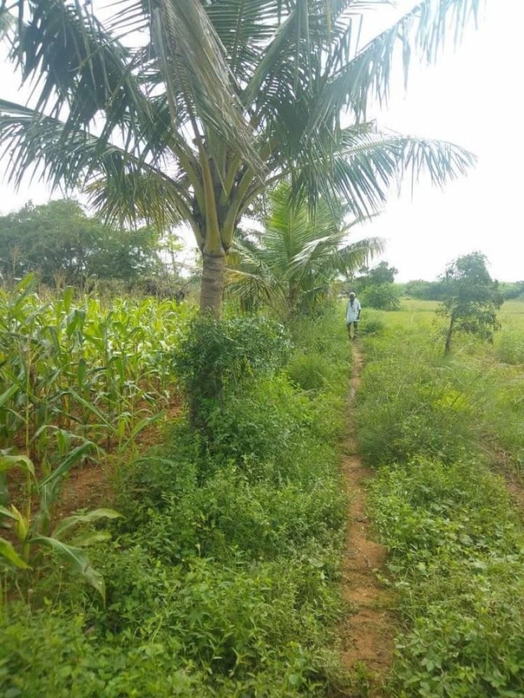 red soil agri  land for sale kulithalai