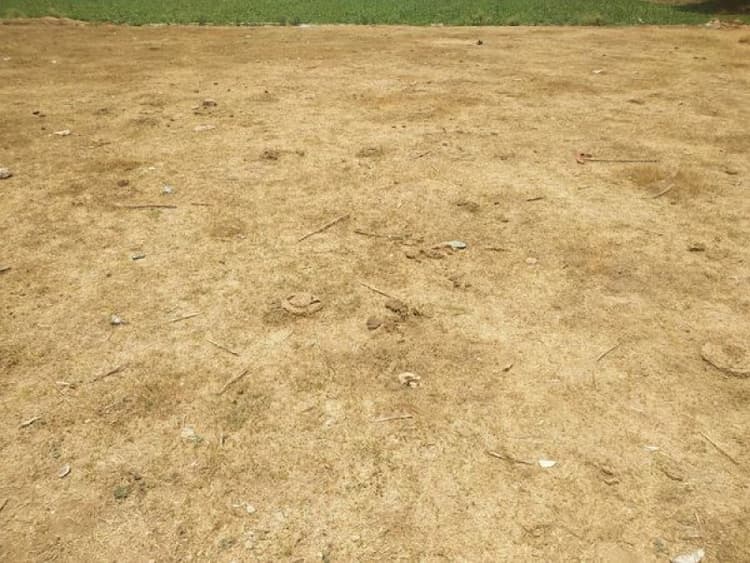 Land sale