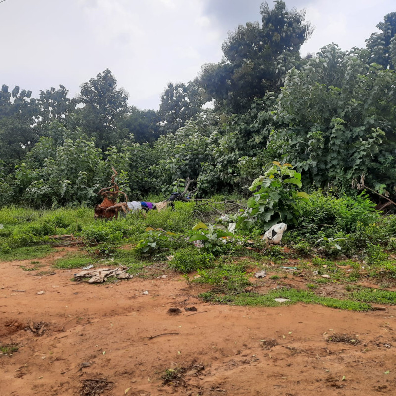 LAND FOR SALE